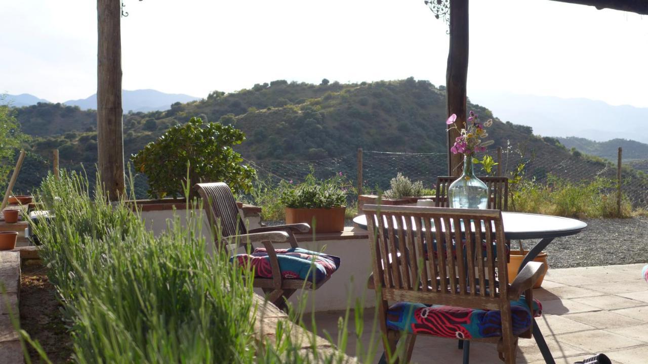 Corazon Andaluz Guesthouse Coín Εξωτερικό φωτογραφία