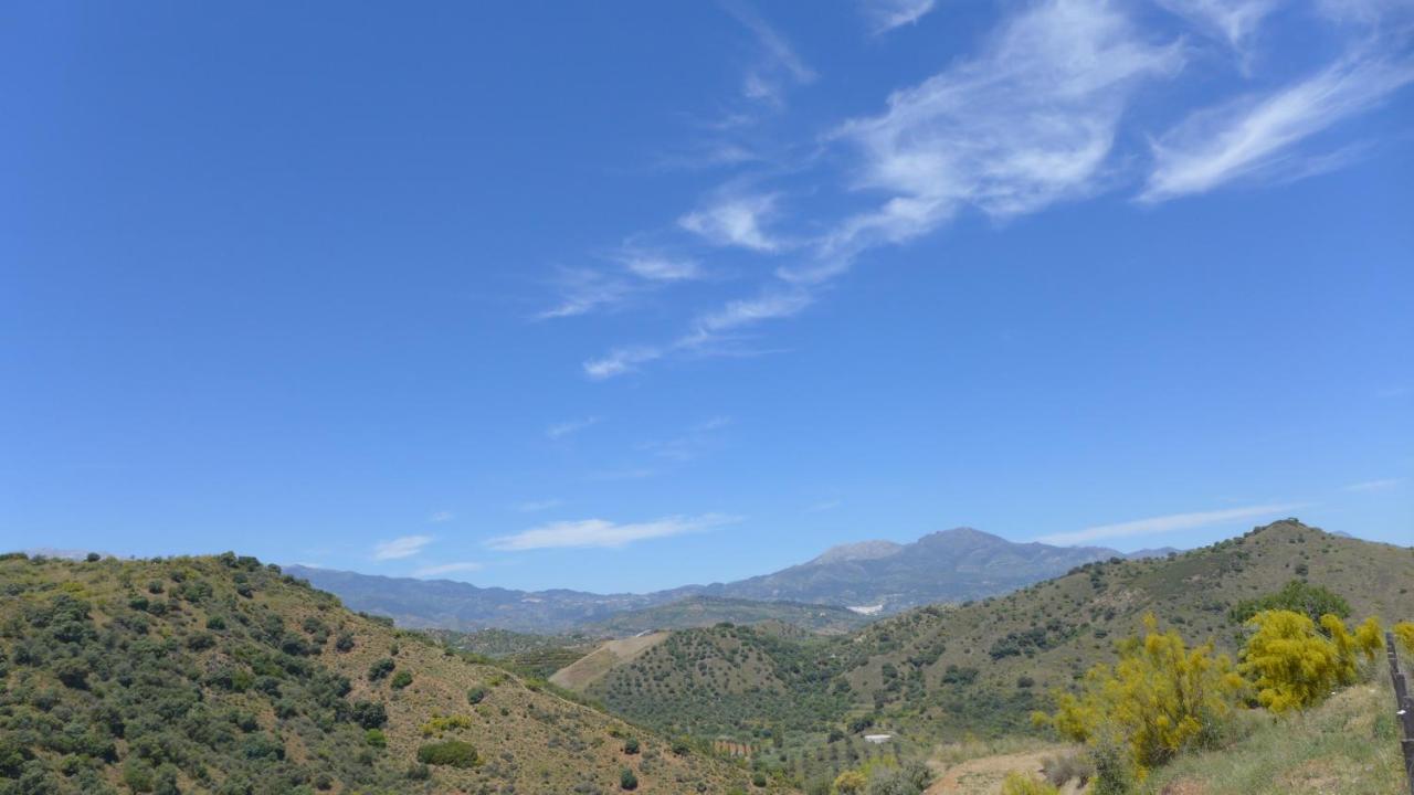 Corazon Andaluz Guesthouse Coín Εξωτερικό φωτογραφία