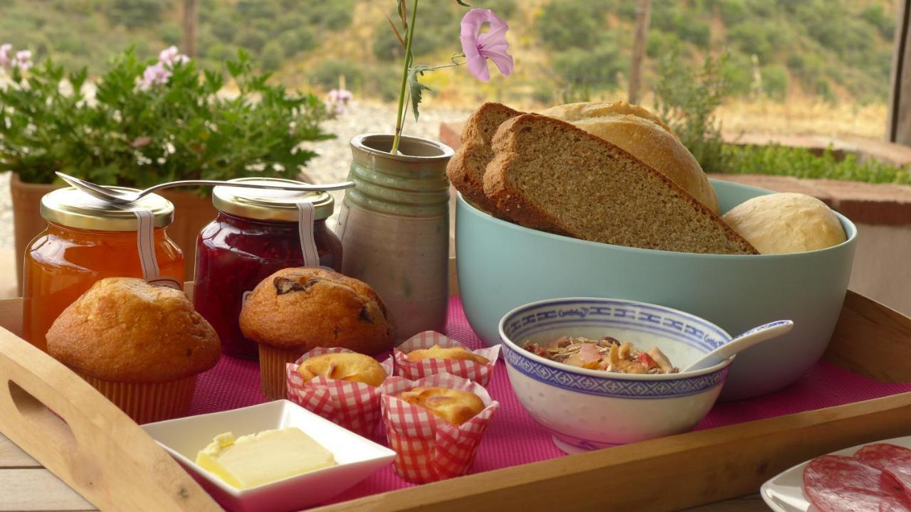 Corazon Andaluz Guesthouse Coín Εξωτερικό φωτογραφία