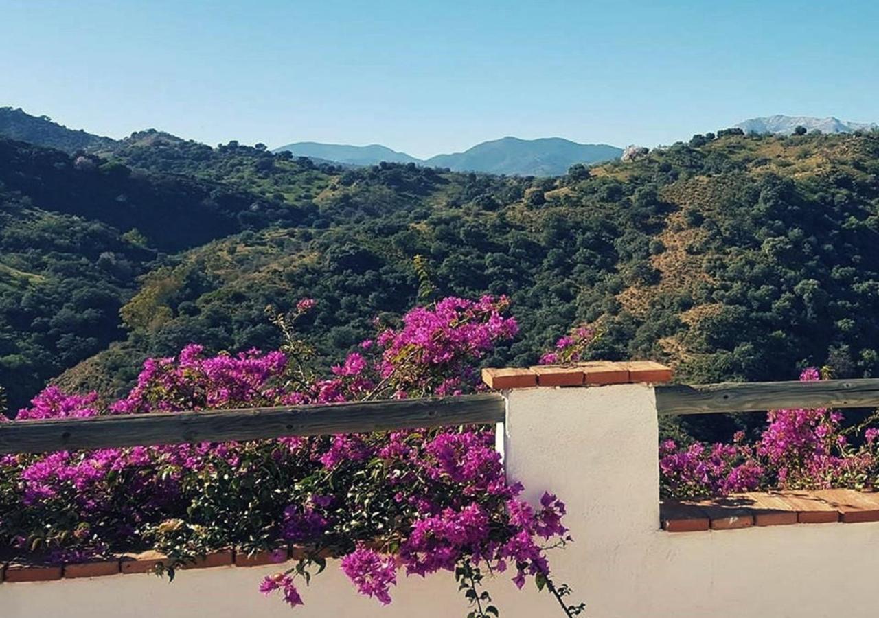 Corazon Andaluz Guesthouse Coín Εξωτερικό φωτογραφία
