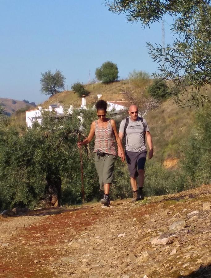 Corazon Andaluz Guesthouse Coín Εξωτερικό φωτογραφία